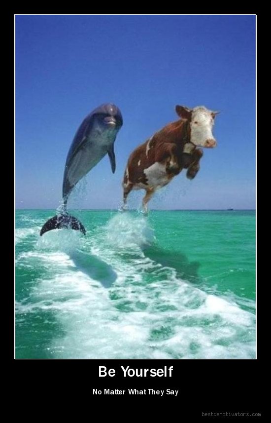 корова и дельфин плывут