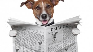 ThinkStock_DogNewspaper-620x350