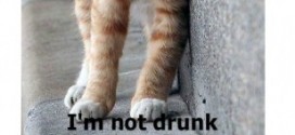 Нет, я не пьян!