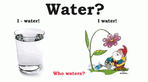 Конверсия слова water в английском языке.