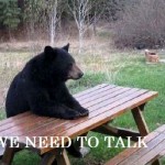 Медведь сидит за столом и говорит