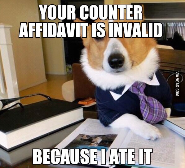 the-lawyer-dog